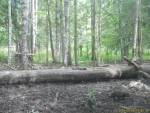 imag0145-ens-0-000061-16-