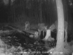imag0152-lo-troe-0-000023