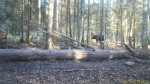 imag0154-lo-samka-0-00007