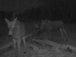 imag0156-lo-samka-i-2-tel