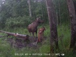 imag0157-lo-samka-s-telen