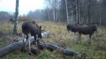 imag0159-lo-samka-i-1-tel