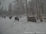 imag0160-zu-6-idut-0-0001
