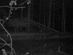 imag0168-lo-roga-bolshie-