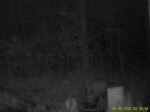 imag0169-ka-0-000196-15-1