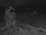 imag0169-lo-dvoe-0-000035