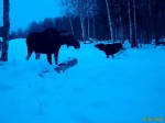imag0169-lo-dvoe-0-mov_sn