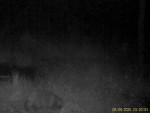 imag0170-ens-0-mov_snapsh