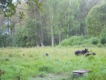 imag0170-me-i-3-medvezhon