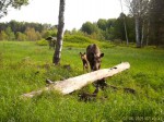 imag0174-lo-samka-te0