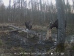 imag0179-lo-dvoe-0-003196