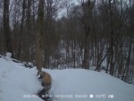 imag0186-ba-0-mp4_sn0