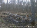 imag0188-ks-samka-i-samec