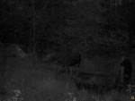 imag0188-lo-troe-samcy-i-
