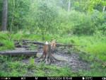 imag0189-ol-samka