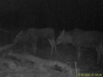 imag0191-lo-dvoe-0-000469