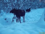 imag0193-lo-troe-samka-i-