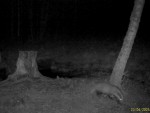 imag0196-ba-00-mov_snapsh