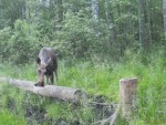 imag0208-lo-samka-0-00150