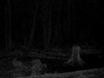 imag0212-li-0-mov_snapsho