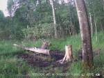 imag0215-lo-samka-lezhit-