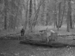 imag0217-ka-4-sveni-1