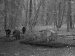 imag0217-ka-4-sveni-2