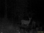 imag0219-ol-r-b-0-mov_sna