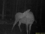 imag0220-lo-samka-0-00093