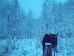 imag0223-lo-0-0000550