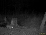 imag0226-li-0-mov_snapsho