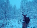 imag0226-lo-0-0000490