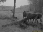 imag0229-lo-4-00-mov_snap