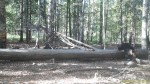 imag0229-me-00-000781-16-