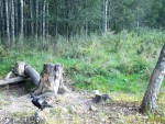 imag0231-ch-voron-0-mov_s