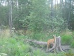 imag0238-ks-samka-0-00078