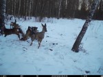 imag0251-ks-2-samki-i-2-s