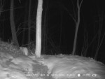 imag0266-ens-0-mp4_snapsh