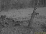 imag0291-vo-0-mov_snapsho