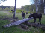 imag0293-lo-troe-0-000766
