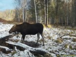 imag0295-lo-0-000616-09-5