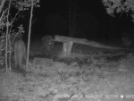imag0304-lo-troe-0-000316