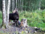 imag0312-lo-samka-0-mov_s