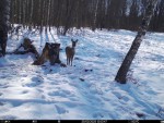 imag0317-ks-2-samki-i-2-s
