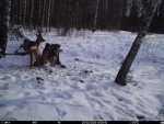 imag0335-ks-2-samki-i-2-s