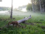 imag0337-ks-samka-i-0