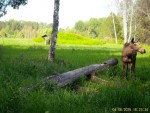 imag0343-lo-samka-0-mov_s