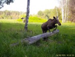 imag0352-lo-samka-0-mov_s