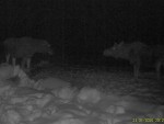 imag0384-lo-dvoe-0-000044