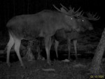 imag0416-lo-troe-samcy-r-